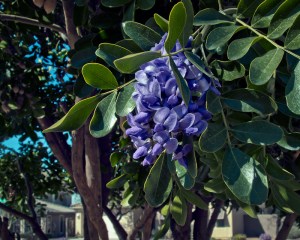 2012EstablishingShot2