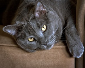 FaithInChair1 (1 of 1)