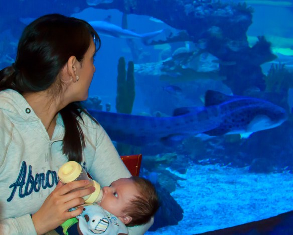 KG&EGInDillons3 (1 of 1)