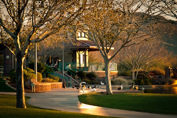 MrngTcktWndow1 (1 of 1)