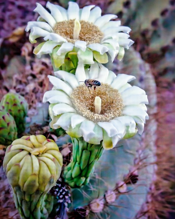 2NRStation4 (1 of 1)