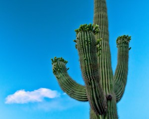 GreatMay12Sunset1MdmPopSmth (1 of 1)