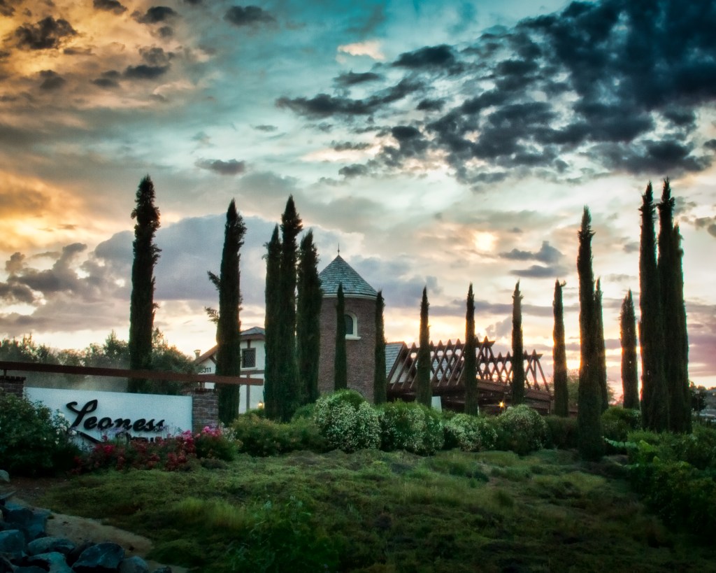 LeonessSunrise1 (1 of 1)