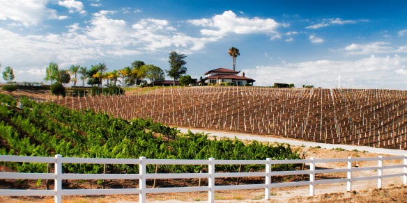 NearVillaDelVino1 (1 of 1)