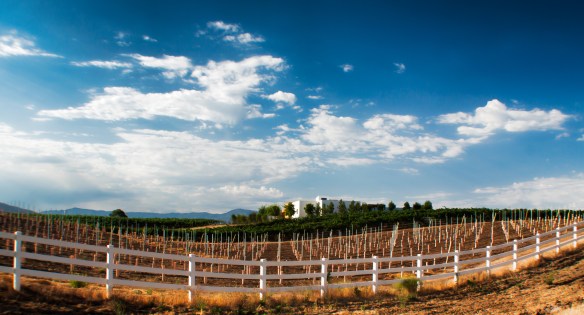 NearVillaDelVino2 (1 of 1)