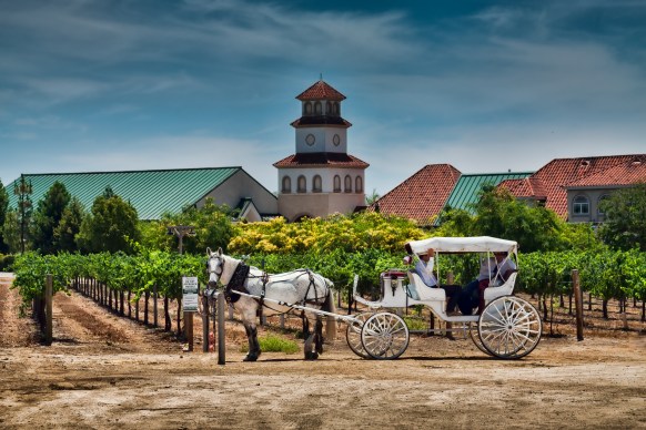 SouthCoastResortHorse&Buggy1 (1 of 1)