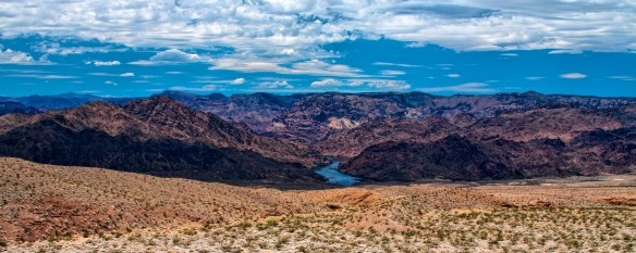 untitled (5637 of 11153) (2)