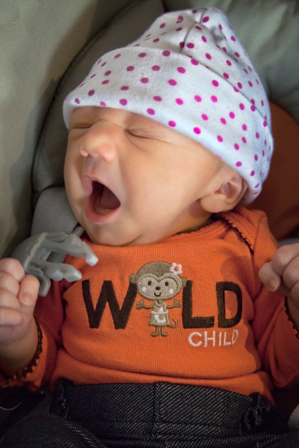 WildChild-1 (1 of 1)