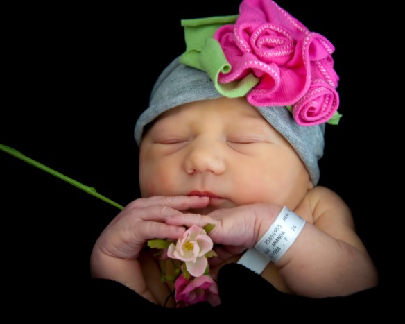 WithBow&Flowers-1 (1 of 1)