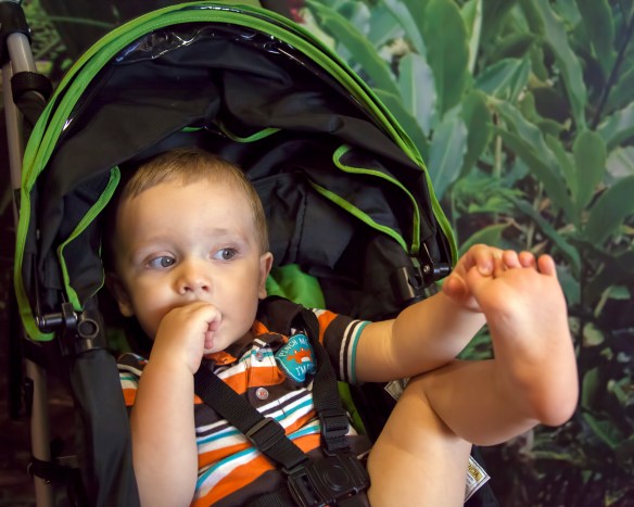 Emmett_At_BW-2 (1 of 1)