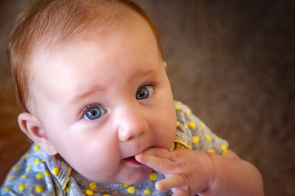 Looking_Up-1 (1 of 1)