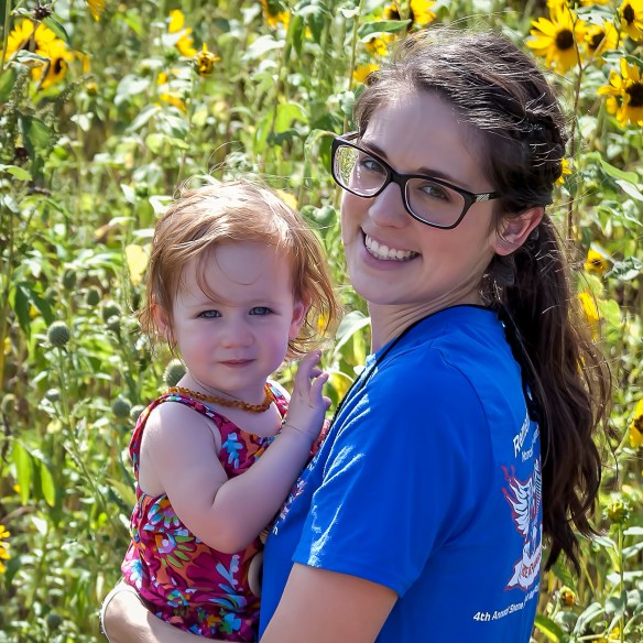 Sunflower fields near Waterville, Kansas