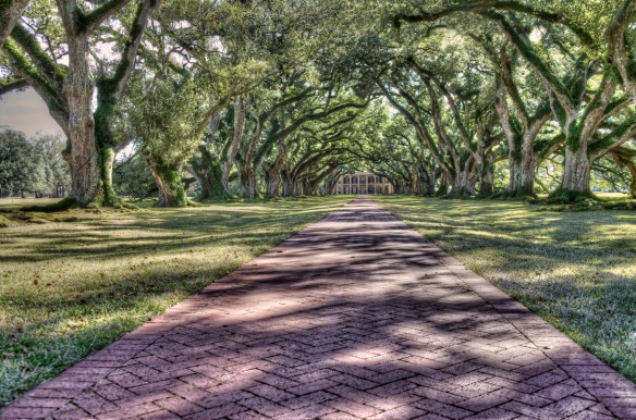 Oak Alley Plantation in  Vacherie, Louisian