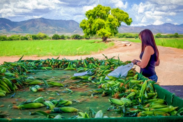 Verde Valley, Arizona