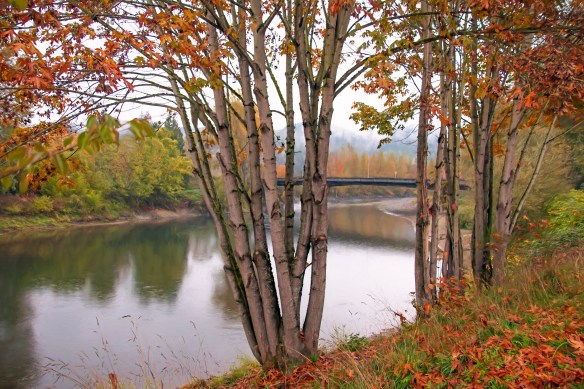 Fall City, WA - 2015 Image of the Year