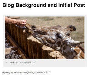 PhotoremedyBlogBkgrndPhoto